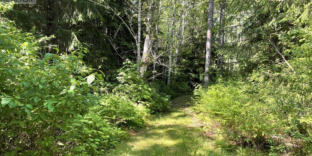 5258 OLD REMO ROAD Terrace Photo 36 5258 OLD REMO ROAD Terrace Photo 36